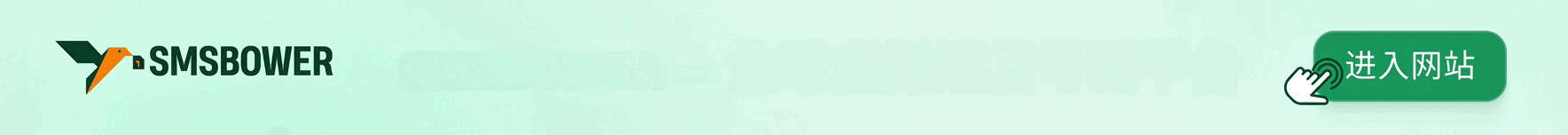 smsbower.org